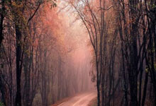 开云APP-地板在燃烧！全球篮球狂热者今夜无眠