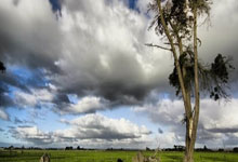 开云体育官方网站-西悉尼流浪者迎战塔斯马尼亚联，防守反击或成致胜关键