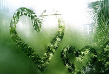 开云APP-地板在燃烧！全球篮球狂热者今夜无眠