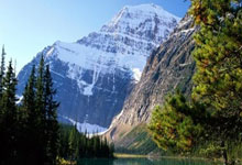 开云体育中国-阿尔艾因中场大将伤愈复出，战西悉尼流浪者阵容稳固