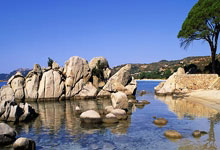 开云APP-西悉尼流浪者伤病恢复进展顺利，期待发挥