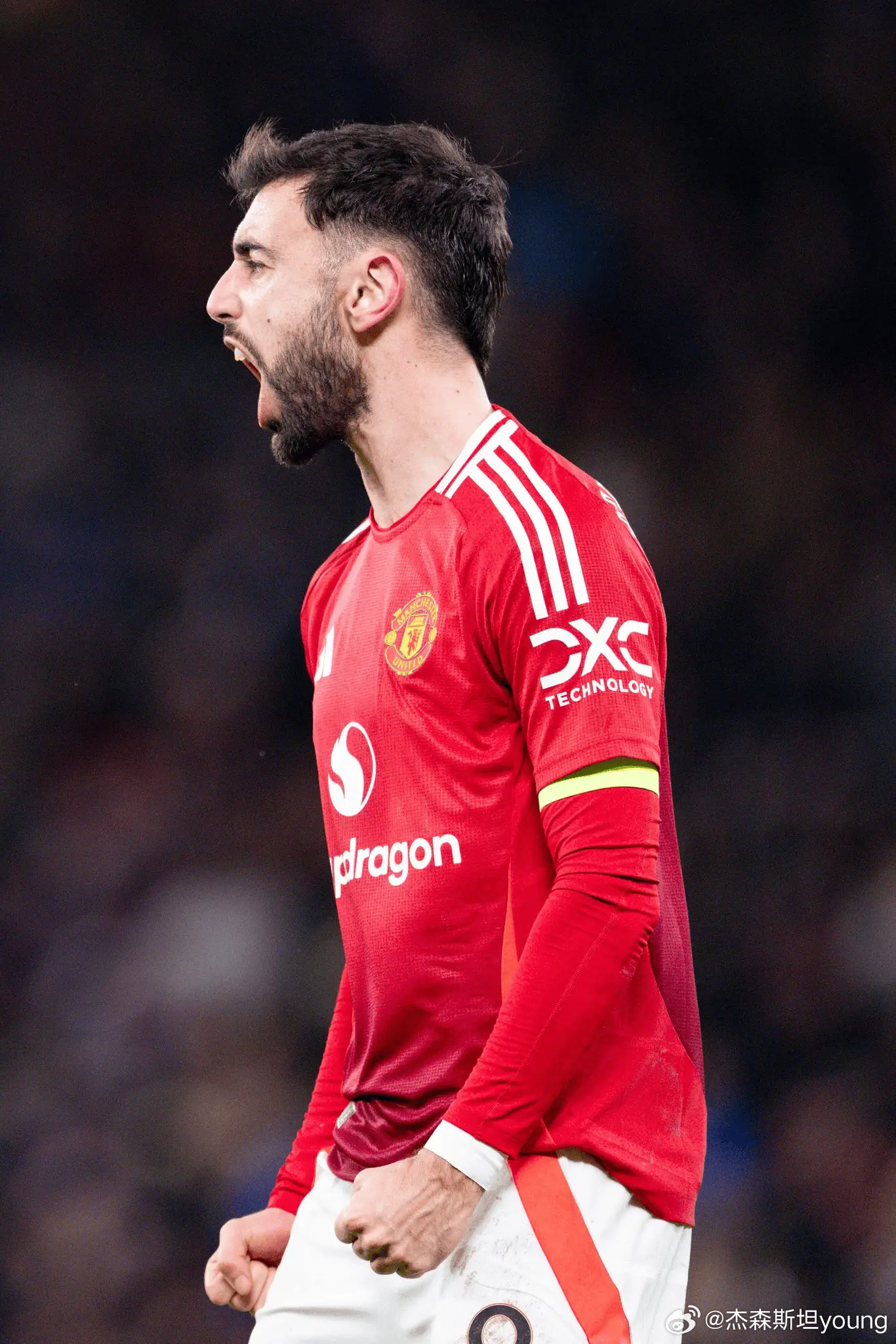 关于埃弗顿全力拼搏,准备在英超中绽放光芒的信息 关于埃弗顿全力拼搏,准备在英超中绽放光芒的信息