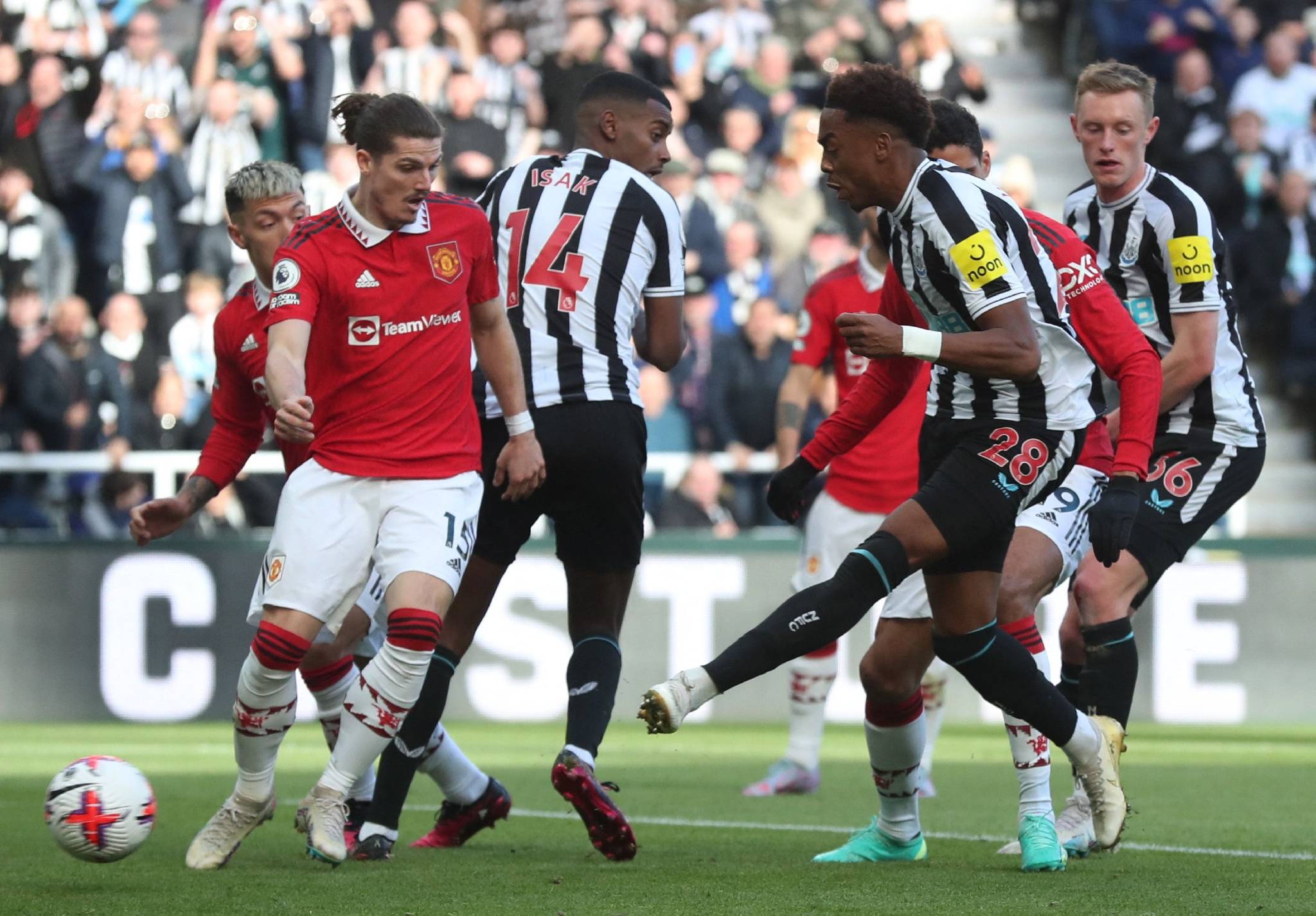 沙尔克主场大胜不来梅,全队士气高涨 沙尔克主场大胜不来梅,全队士气高涨