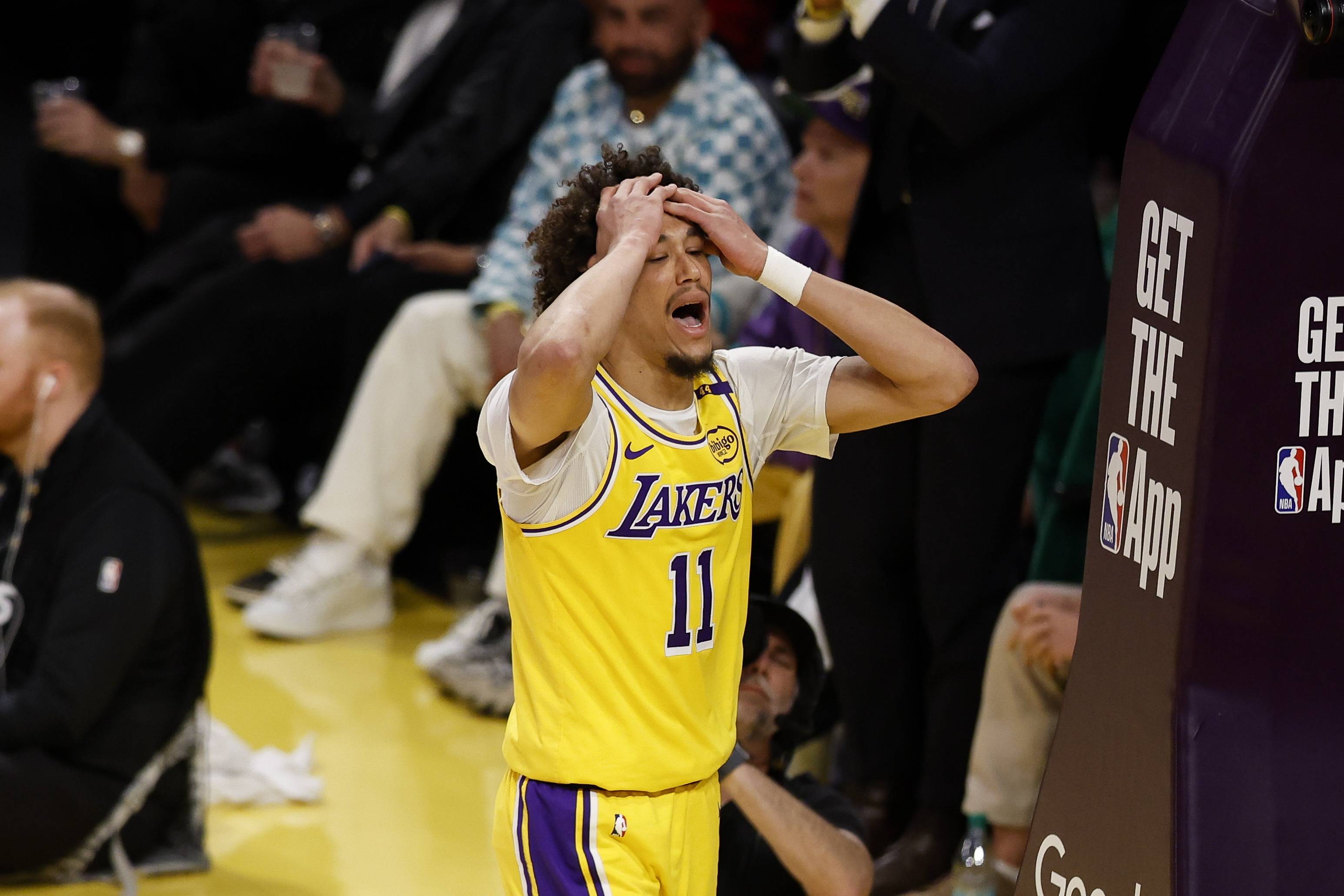 开云体育中国-关于森林狼签下实力内线球员，补强球队弱点的信息