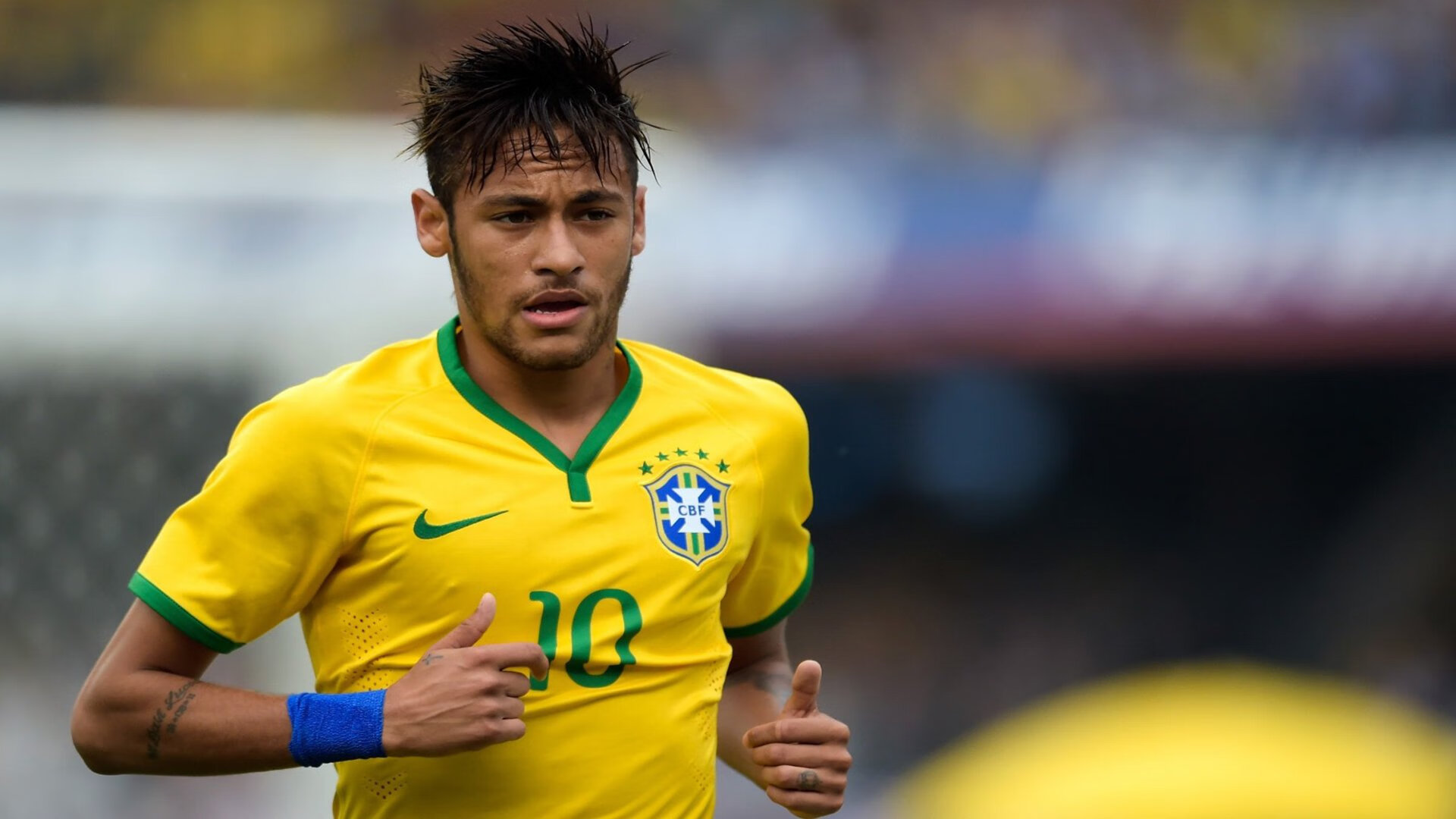 跨时空的闪电,当波兰铁骑撞上藏獒之魂